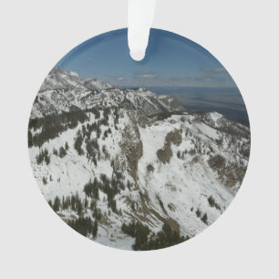 Ornamento Picos de neve das montanhas Teton I Fotografia