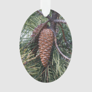 Ornamento Pinecone no pinheiro