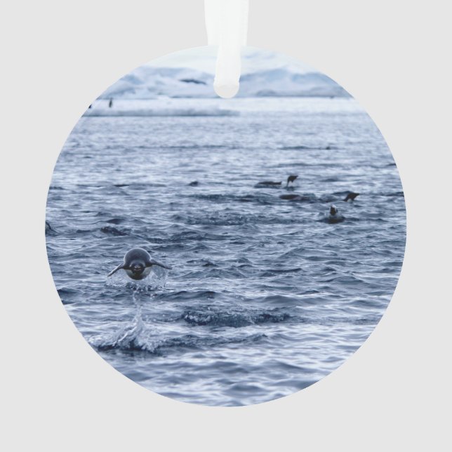 Ornamento Pinguim voador (Verso)