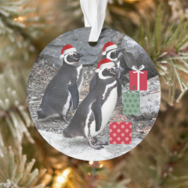 Ornamento Pinguins Vestindo Feriado de Papai Noel