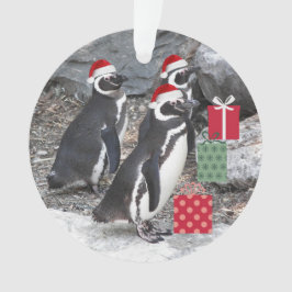 Ornamento Pinguins Vestindo Feriado de Papai Noel