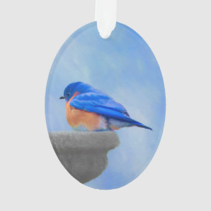 Ornamento Pintura Bluebird - Arte Original para Pássaros