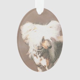 Ornamento Pintura Chinesa Sem Penteado Pintura Original De C