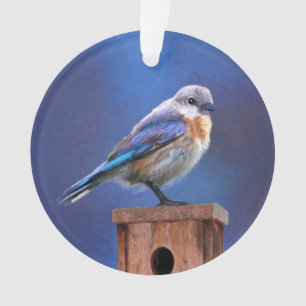 Ornamento Pintura de Bluebird (Mulher) - Arte de Pássaro Or