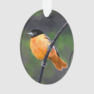 Ornamento Pintura de Oriole - Arte Original para Pássaros