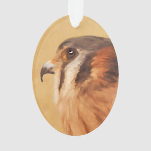 Ornamento Pintura em Kestrel Americano - Arte de Pássaro Or