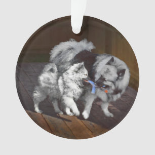 Ornamento Pintura em tempo de reprodução de Keeshond - Art