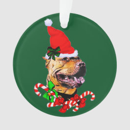 Ornamento Pit Bull Terrier Natal Americano