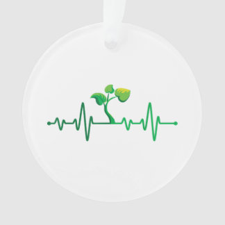 Ornamento Planta de batimento cardíaco - Jardinagem Botânica