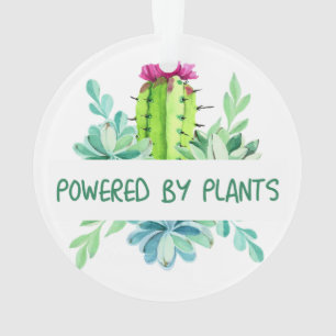 Ornamento Plantas e flores