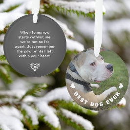 Ornamento Poema de Estimação Canino Foto Cinza Lembrança