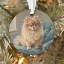 Ornamento Pomeranian