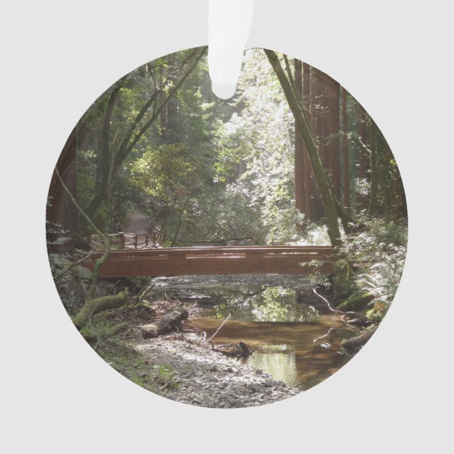 Ornamento Ponte Muir Woods II (Frente)