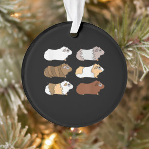Ornamento Porco Love Guiné Pig Wheek Me Feed