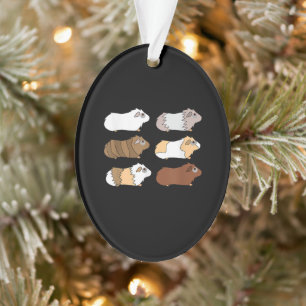 Ornamento Porco Love Guiné Pig Wheek Me Feed