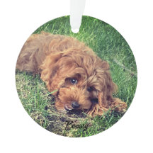 Porta do Ouro cômodo