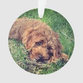 Ornamento Porta do Ouro cômodo