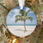 Ornamento Praias Tropicais | Eagle Beach, Aruba<br><div class="desc">Esta incrível foto do Getty Images apresenta palma de solitário na areia branca na praia de Eagle,  Aruba</div>