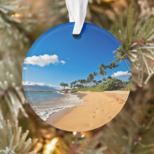 Ornamento Praias Tropicais   Wailea, Maui, Havaí