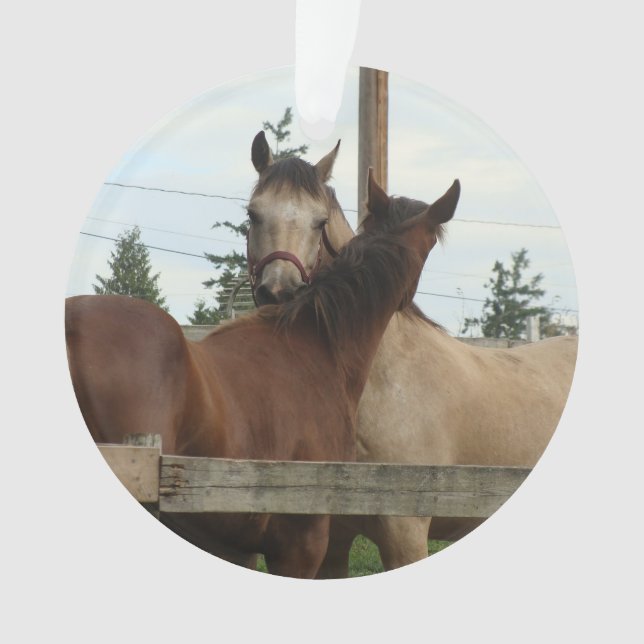 Ornamento Preparação do cavalo (Frente)