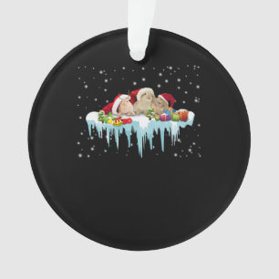 Ornamento Presente de coelho  Natal Muito Bonito Para Três 