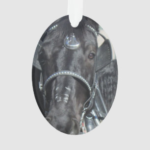Ornamento preto do cavalo