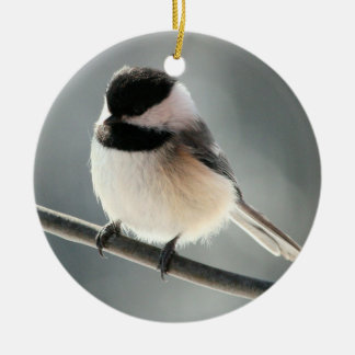 ornamento Preto-tampado do Chickadee