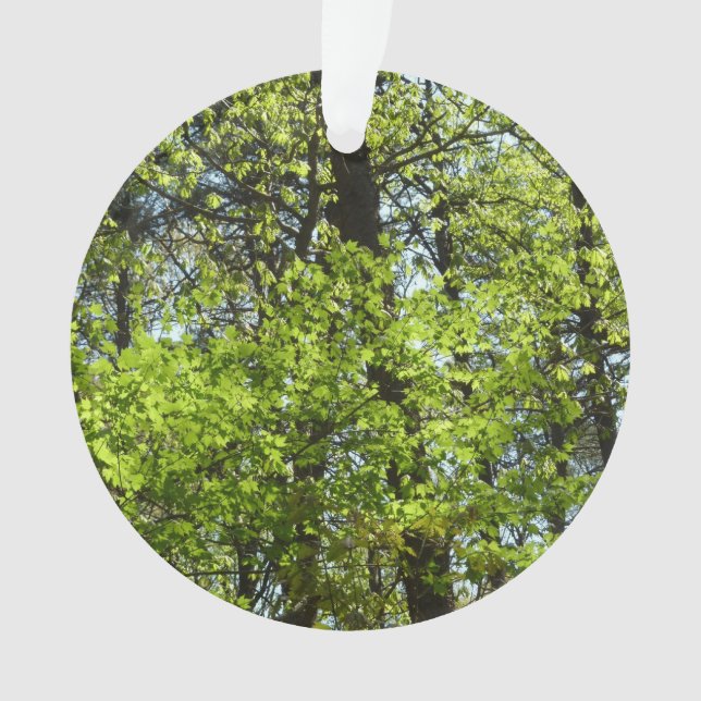 Ornamento Primavera Maple Deixa a natureza (Frente)