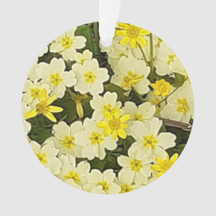 Ornamento Primavera Primroses Acrilato