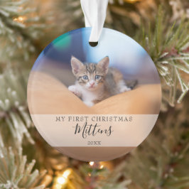 Ornamento Primeiro Gato de Natal Cachorro Pet Foto Moderno S