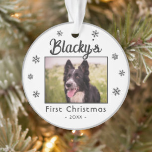 Ornamento Primeiro Natal Nome da Puppy Foto de Snowflakes