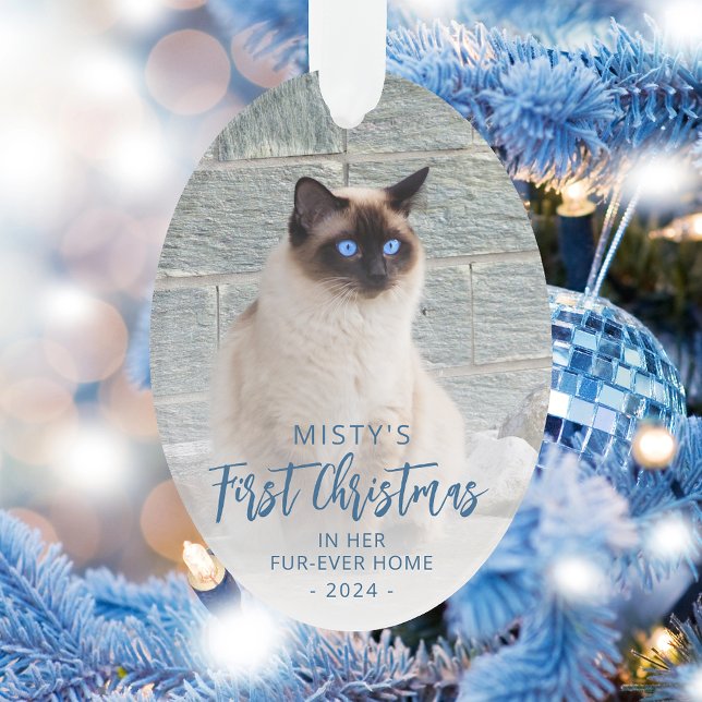 Ornamento Primeiro Natal para o Pet Home Photo Blue Oval (Criador carregado)