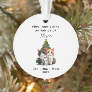 Ornamento Primeiro Natal Personalizado Como Família De Três