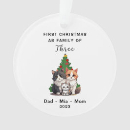 Ornamento Primeiro Natal Personalizado Como Família De Três