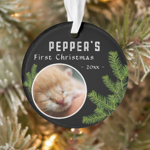 Ornamento Primeiro Pinheiro de Natal Gatinho Gato 2 Foto Lem