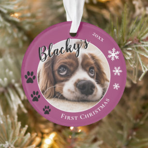 Ornamento Primeiro Puppy Natal Rustic Dog Name Foto