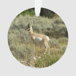 Ornamento Pronghorn no Grand Teton National Park