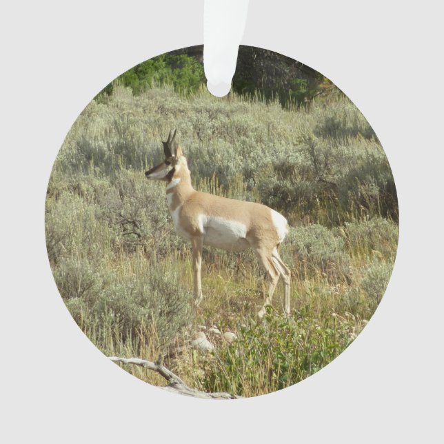 Ornamento Pronghorn no Grand Teton National Park (Frente)