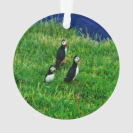 Ornamento Puffins Ornament