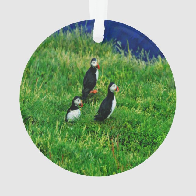 Ornamento Puffins Ornament (Verso)