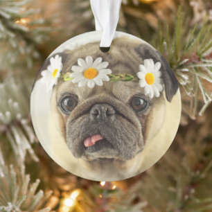 Ornamento Pug com Daisy Crown
