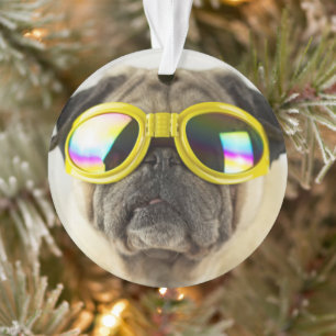 Ornamento Pug com óculos