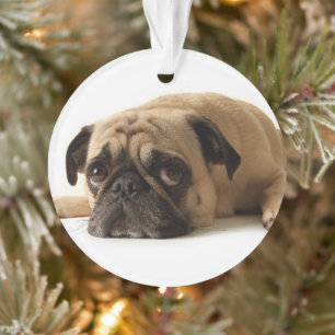 Ornamento Pug Triste