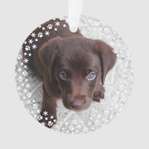 Ornamento Puppy's First Christmas Holiday Ornament