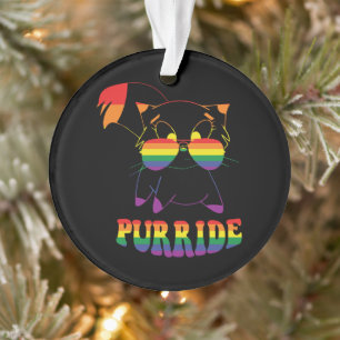 Ornamento Purgar Gato de Gay Lésbica Arco-íris