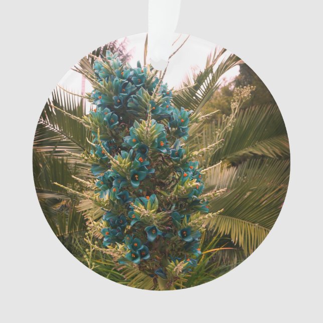 Ornamento Puya Berteroniana #1 (Frente)