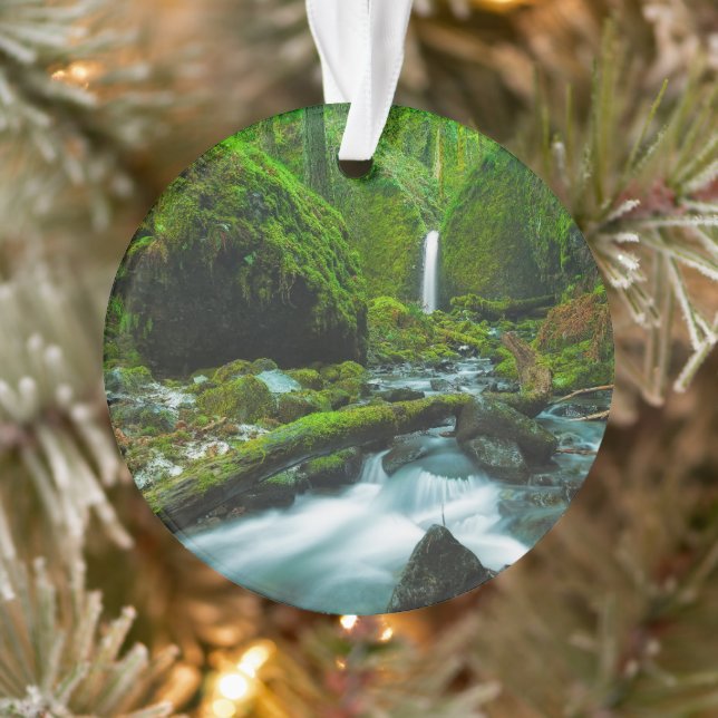 Ornamento Quedas | Grotto Falls, Oregon (Árvore)