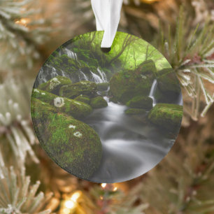 Ornamento Quedas   Quedas de Água de Satoyama Kisakata