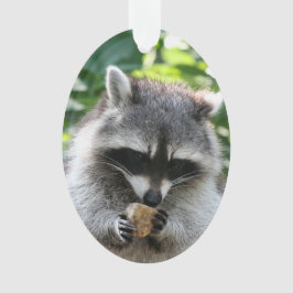 Ornamento Raccoon 004