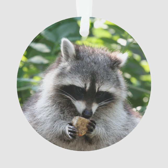 Ornamento Raccoon 004 (Verso)